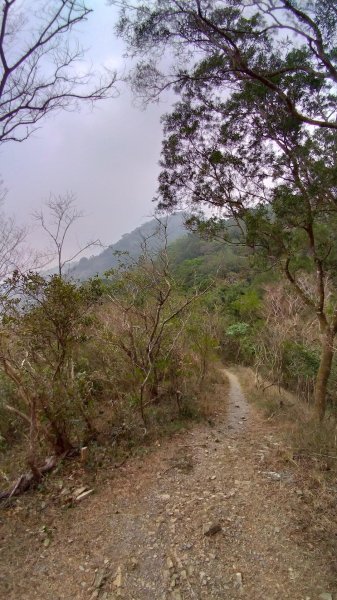 力里圓山森林步道 好熱啊～560556