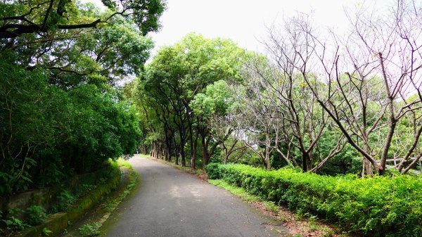 茶山步道,鎮南橋,鴉片菸潭,通學古道2602617