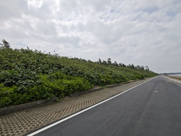 [霄裡好風光，運動樂悠遊！-4/10] 2025_0608 新屋綠色走廊自行車道2808139