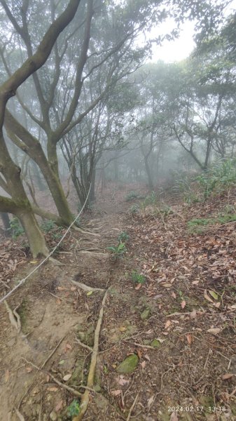 劍龍稜初體驗2431327