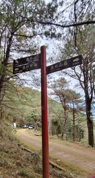 麟趾山、鹿林山、鹿林前山三山縱走(塔塔加三山)2990379