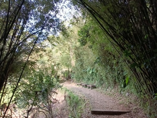 北投區清天宮步道+面天山+向天山+向天池+興福寮步道+頂青礐古道P字走2960025