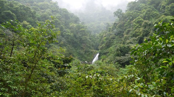 新寮瀑布步道登山健行趣（步道）1666408