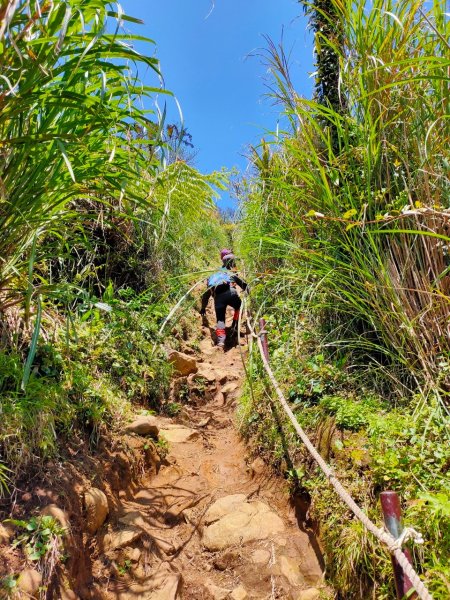 大屯山泥巴滑溜溜914390