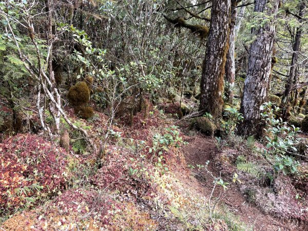 魔幻森林三星山與三星池1658325