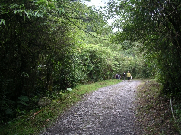 山岳之美 九寮8303