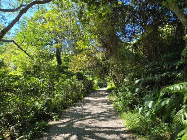 桃園石門山（小百岳）2910039