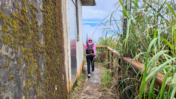 大塔山探勘大塔山最高峰(光頭兄) O繞順走大塔山西峰艱難路線下溪谷 2024年8月11日2569711