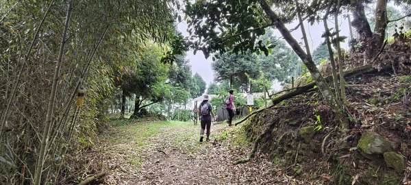 馬那邦山(上湖登山口)-2026/04/183040581