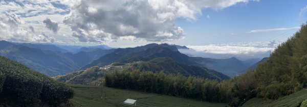20250119頂石棹步道群2716386