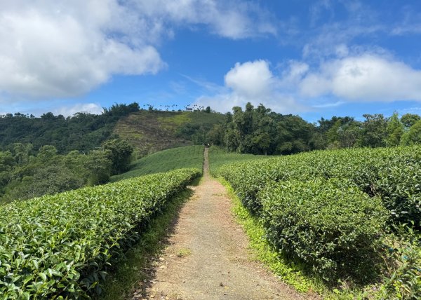 麻竹湖步道走麻竹湖山/阿郡山2820960