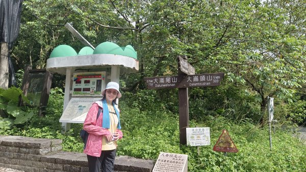 (姨婆趴趴走)第五十五集:攀登健走台北大崙頭尾山親山步道環狀一圈2853726