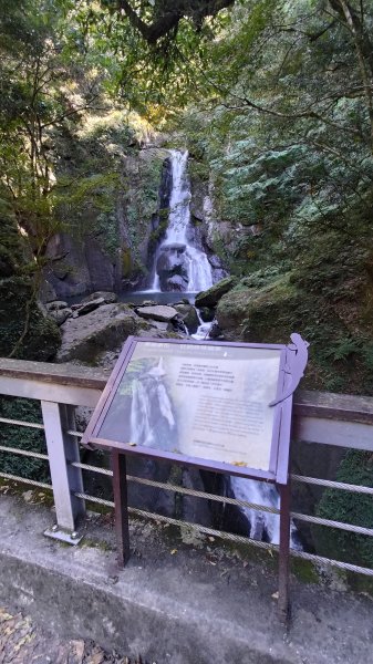 大霸群峰登山步道(大鹿林道線)2911393