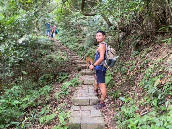 南隘勇古道.龍骨古道.綠色古道.延平古道.鳴鳳古道【一條很單調 一群才精彩】2812036