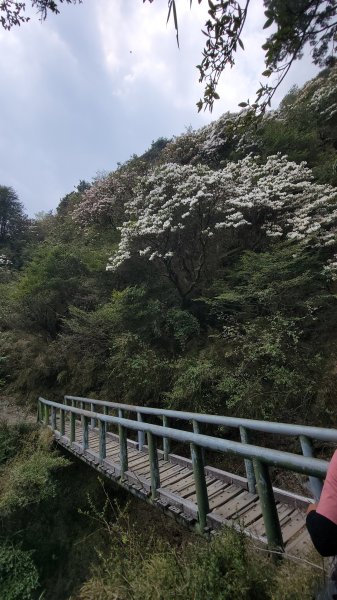 2026-0417-玉山圓夢二天一夜3085307