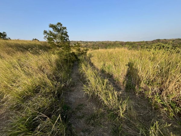 知高圳步道2711618