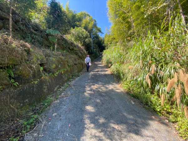 鹿谷大崙尾山、和雅挑竹古道7號、和雅挑竹古道6號O型走2425955