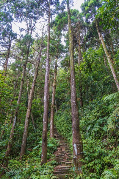 [苗栗]仙山2506033