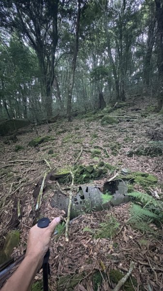 加里山東南峰2867932