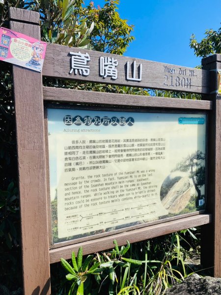 鳶嘴山-稍來山O型縱走(中級山 / 小百岳) 刺激攀岩。山嵐繚繞。傳神小象。杉樹林群。2583514