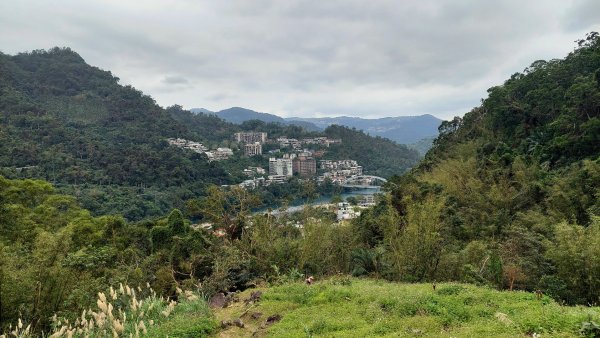 2025元旦山行 新店直潭山、二龍山O型2784957