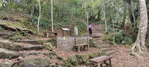 馬那邦山(上湖登山口)-2026/04/183040588