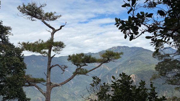 埔里六秀 《有勝山 2105m》2025 12/132961239