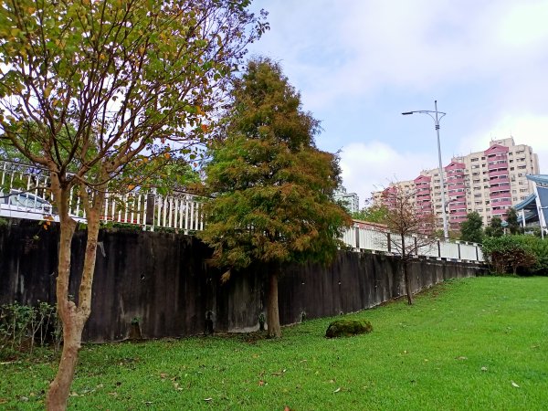 大溝溪生態治水園區、大湖公園 (防災公園) 【走路趣尋寶】1898103