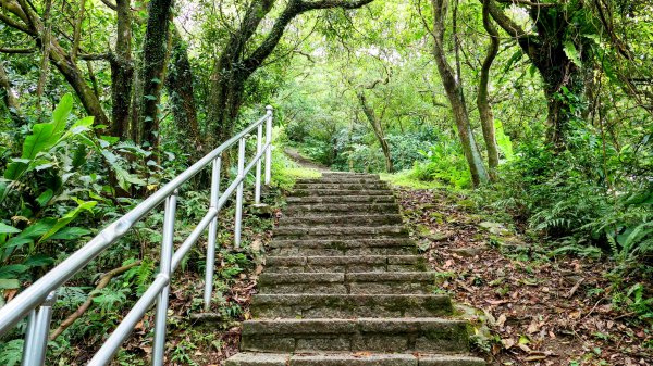 大尖山步道2833792