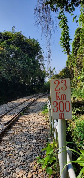 2022-03-05獨立山國家步道、阿拔泉山、觀音石山1631251