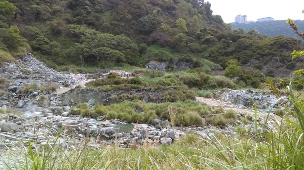 溪水潺涓的半嶺水圳步道、硫氣氤氳的龍鳳谷890890