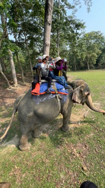 尼泊爾奇旺國家公園4天三夜2788898