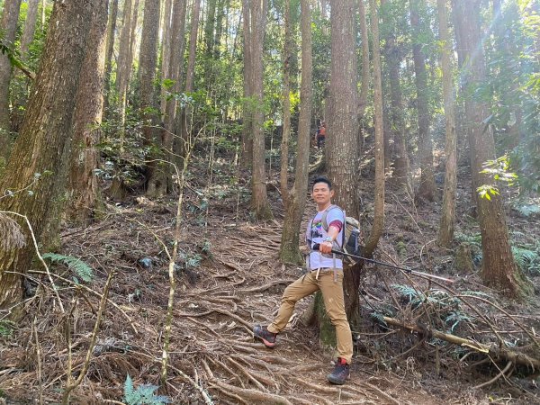 長壽山-醜崠山-鳶嘴山【既優雅又狂野的另類選擇】2673984