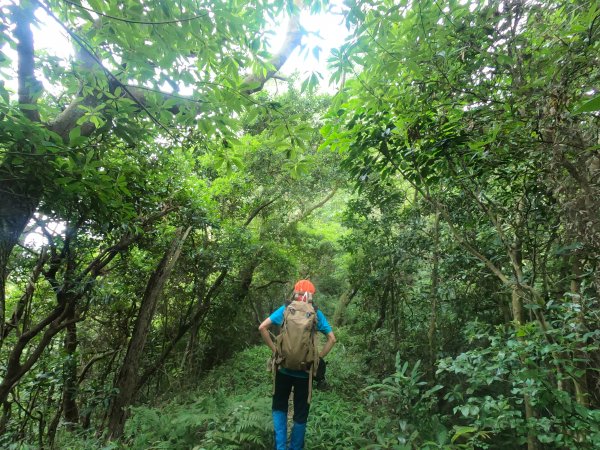 打牛崎古道_原始山徑之美615593