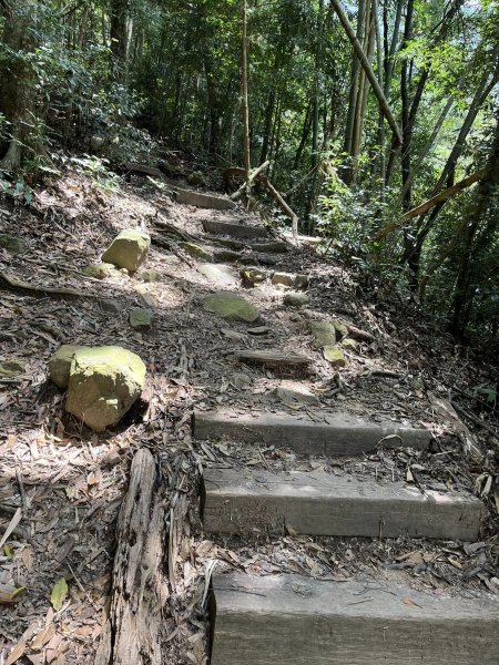 白毛山（谷關七雄之6）2588192