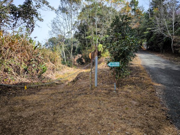 2026-02-08 藤枝山2998428