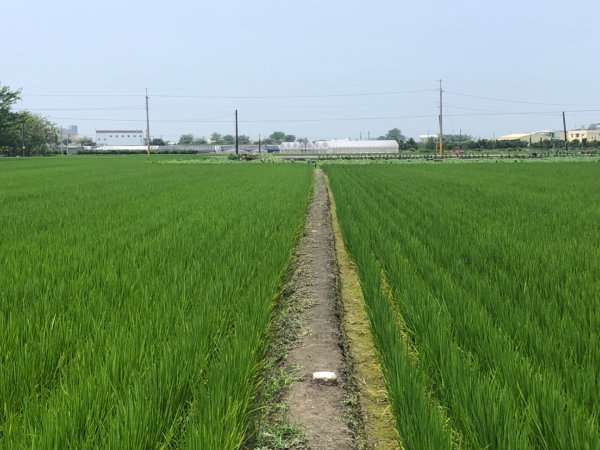 彰化縣埤頭鄉埤頭3-264、雲林縣崙背鄉新鎮3-332、雲林縣虎尾鎮一等三角點內補一號2156716