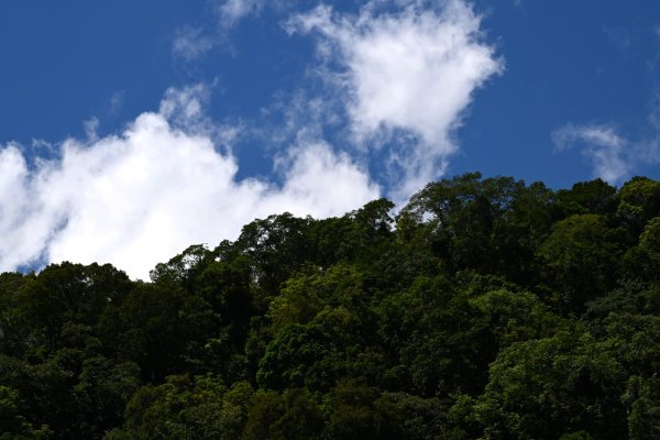 2025_0628 大羅蘭溪古圳步道(福山馬岸)2825215