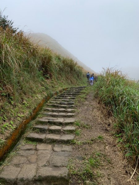 七星山（小百岳）830148