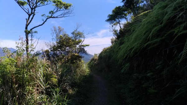 漫步浸水營古道1380330