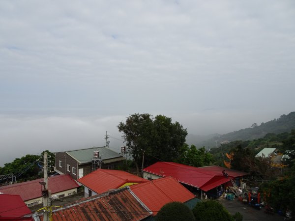 台南南化-刣牛湖山之三角點和厚德紫竹寺499365