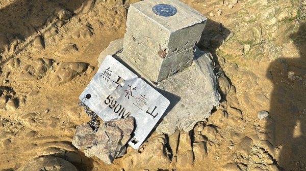 黃金三稜賞芒花2950872