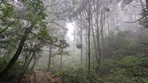 112.06.03風櫃嘴-頂山-石梯嶺-擎天崗東峰-頂山西南峰2172380