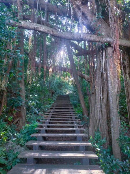 柴山/半屏山2858152