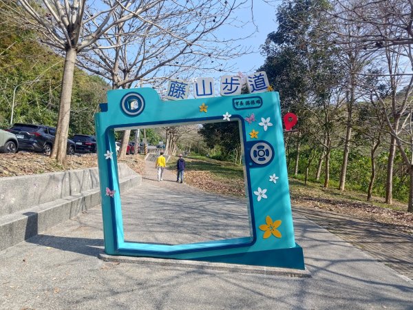 藤山步道登樟普寮一等三角點+挑水古道2749486