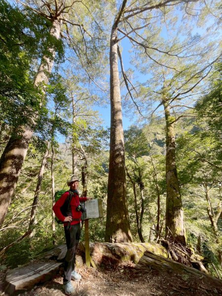 20260104司馬庫斯 &巨木群攀登2978841