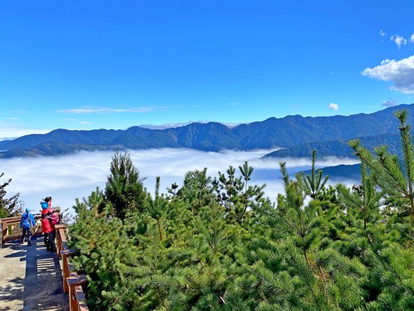 天山.雪霸農場.野馬瞰山.山上人家悠遊1164467