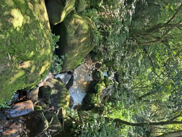 20230911淡蘭古道中段：五分山步道-暖東舊道2446831