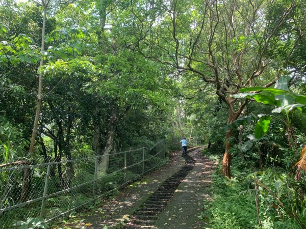 大崎棟古道、騎龍古道2772251