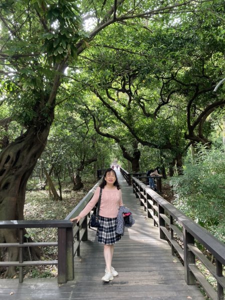 【南山神壽任務尋寶趣】徜徉台北植物園步道1575619